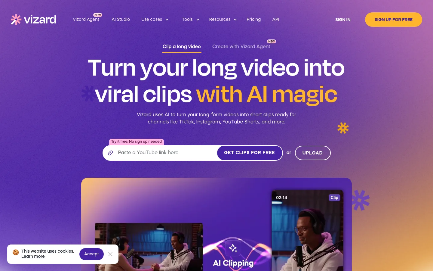 Vizard product screenshot