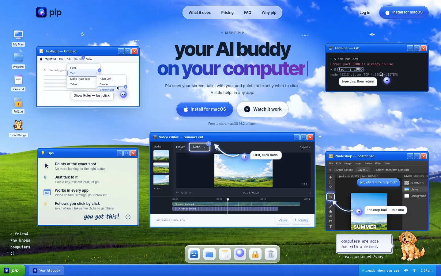 Pip product screenshot