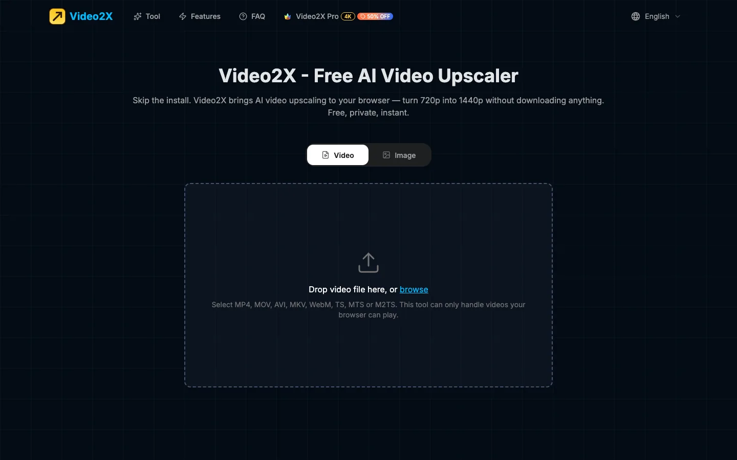 Video2X website homepage at the last check