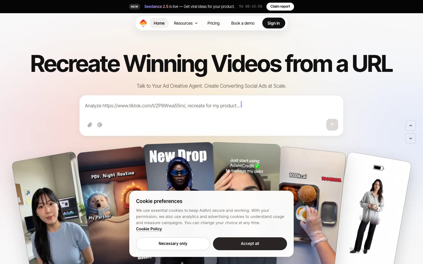 AdAnt website homepage at the last check