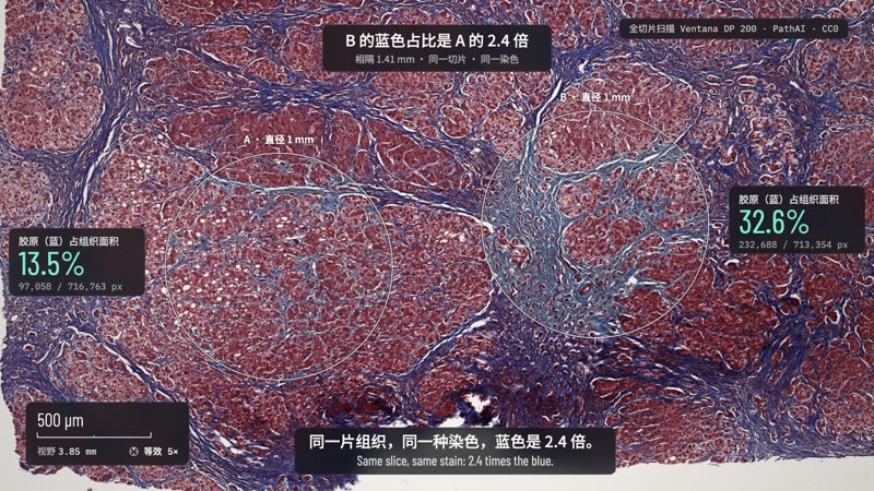 Microscope Story style: Measured Blue